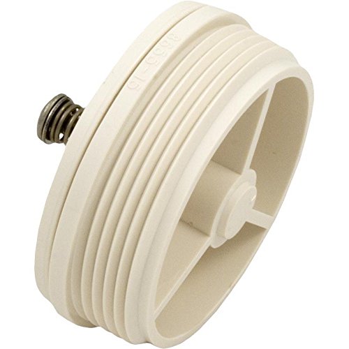 Amazon.com: Sta-Rite Pentair Skimmer Check Valve, U-3, 2